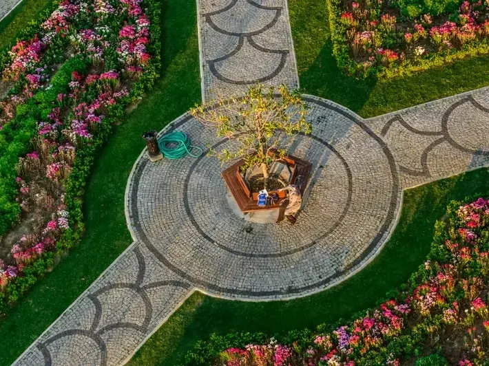 Landscape Architect
