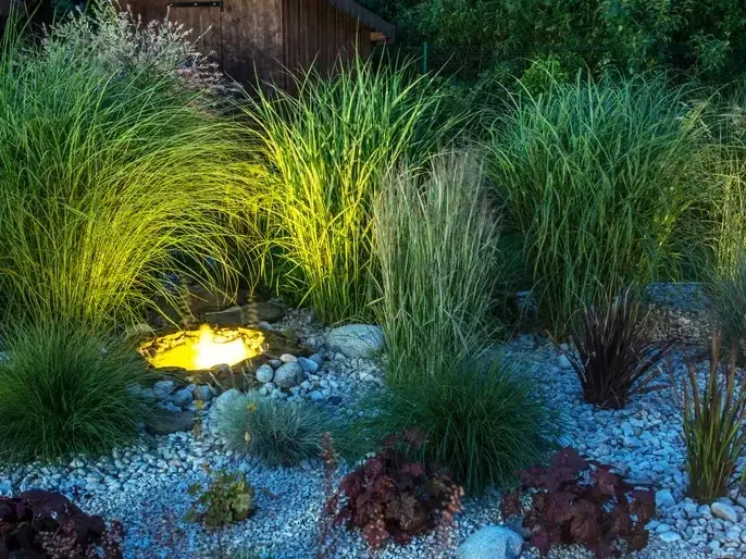 Landscape Architect