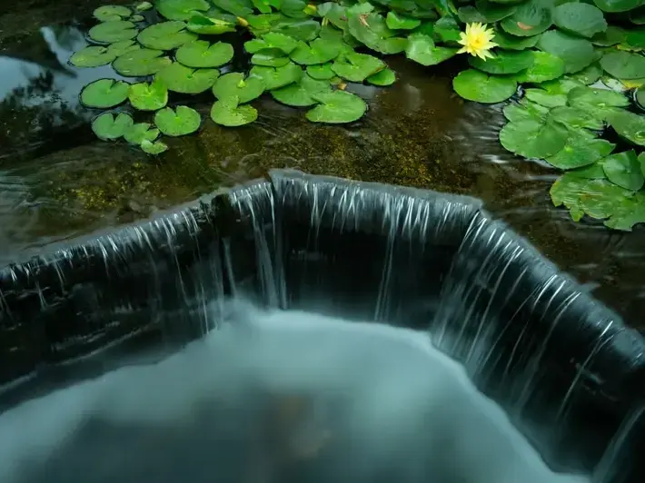 Our Pond & Water Feature Design & Installation process in Kent