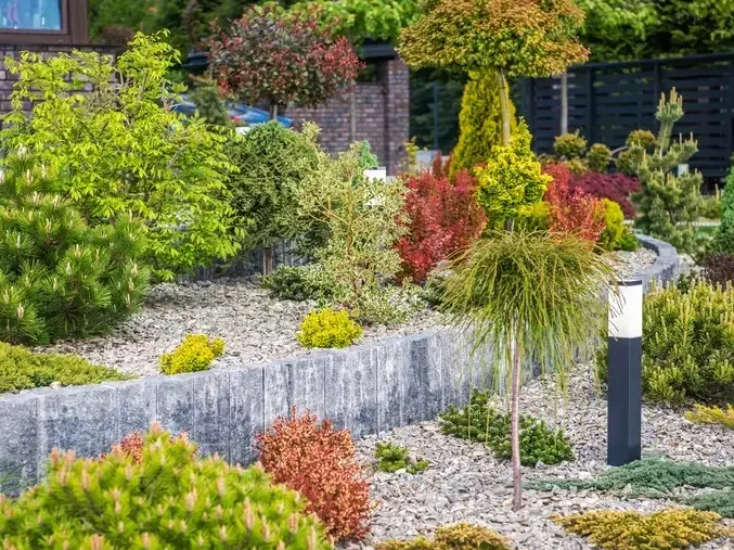 Landscape Architect