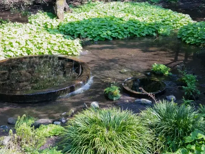 Adam Gorski Landscapes service area covering Issaquah, WA and surrounding neighborhoods