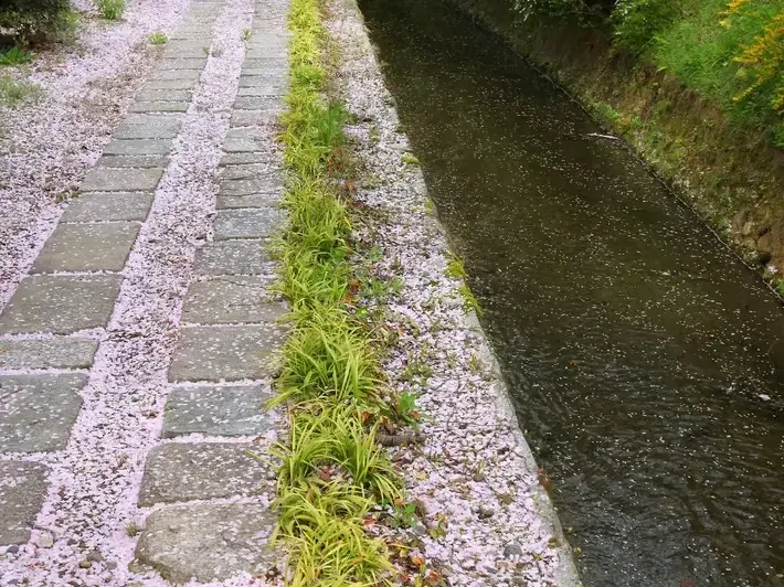 Adam Gorski Landscapes step-by-step service process &mdash; professional quality from start to finish