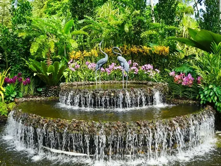 drainage and planting plan for SeaTac home near Sea-Tac Airport with low upkeep yard design