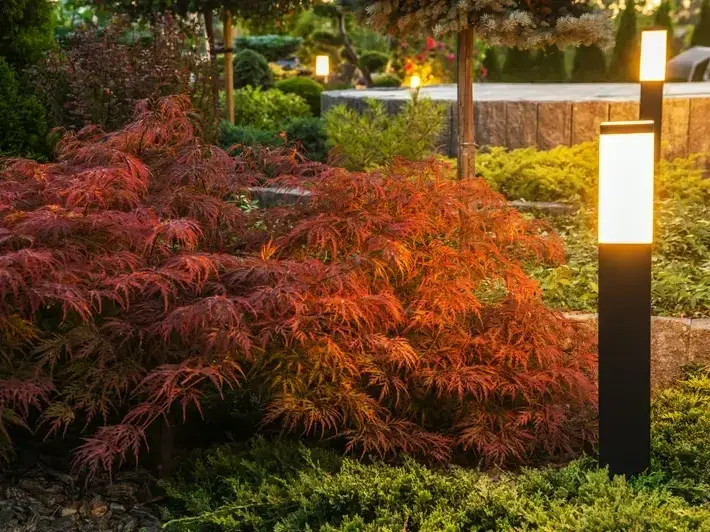 Professional Lighting Installation Services services by Adam Gorski Landscapes in Issaquah, WA &mdash; licensed scene Architect provider