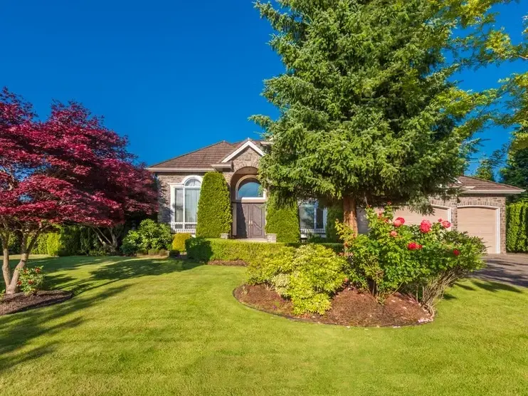 Hardscaping Services