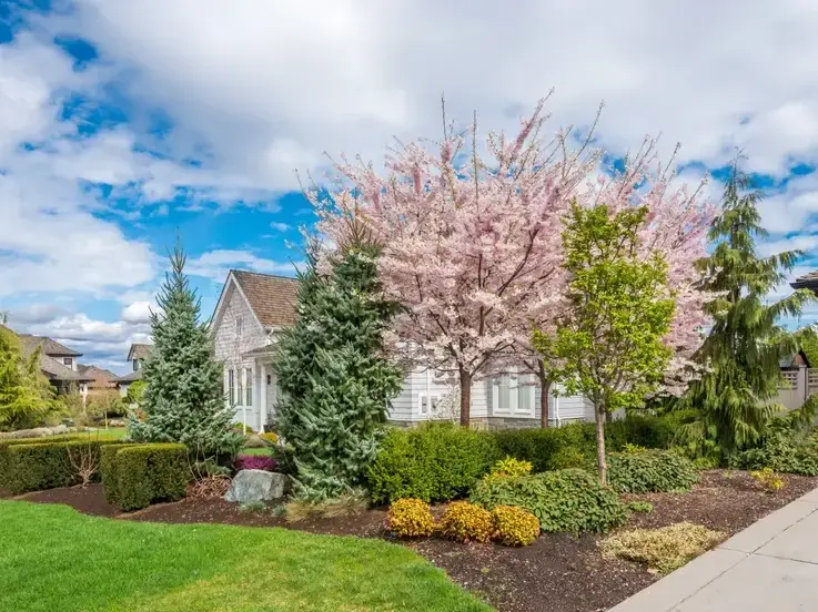 Adam Gorski Landscapes service area covering Issaquah, WA and surrounding neighborhoods