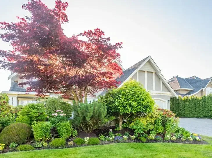 Adam Gorski Landscapes step-by-step service process &mdash; professional quality from start to finish