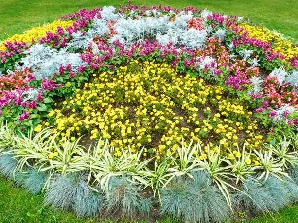 Adam Gorski Landscapes service area covering Issaquah, WA and surrounding neighborhoods