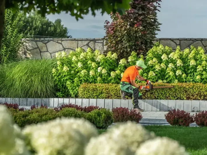 Landscape Architect