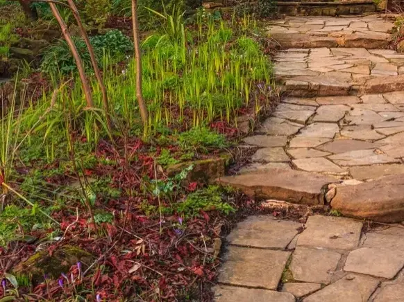 Professional service work by Adam Gorski Landscapes in Issaquah