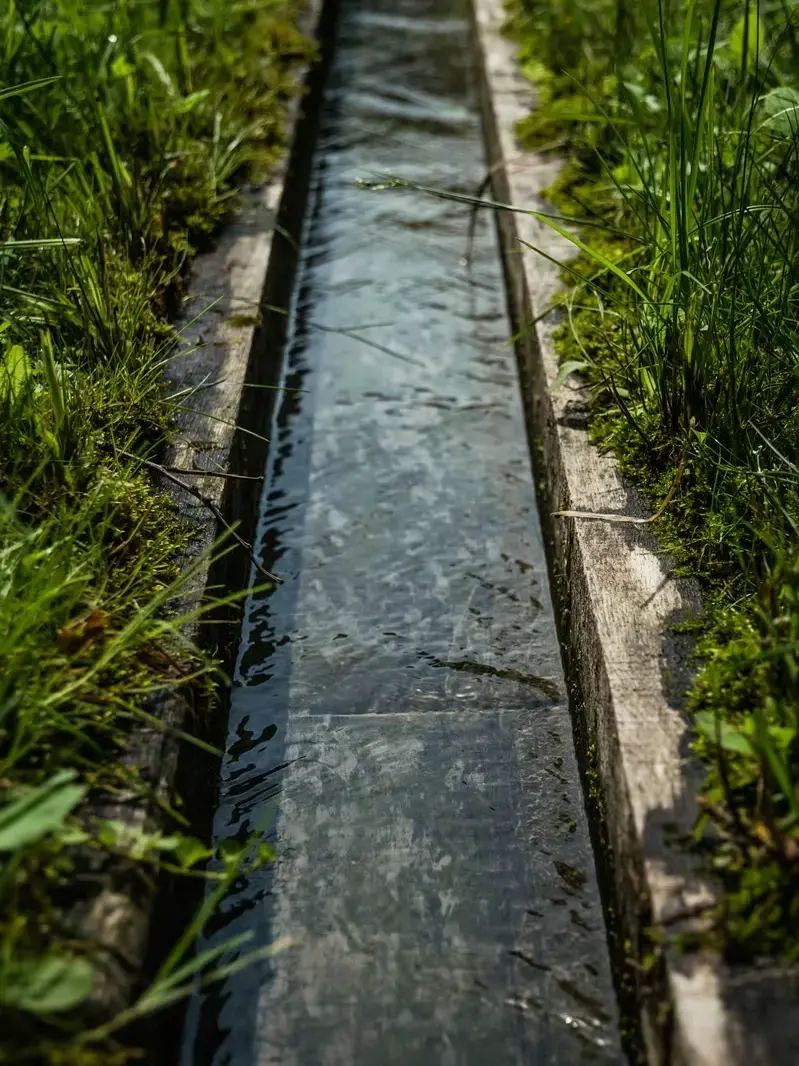 Professional Drainage Solutions services by Adam Gorski Landscapes in Issaquah, WA &mdash; licensed scene Architect provider