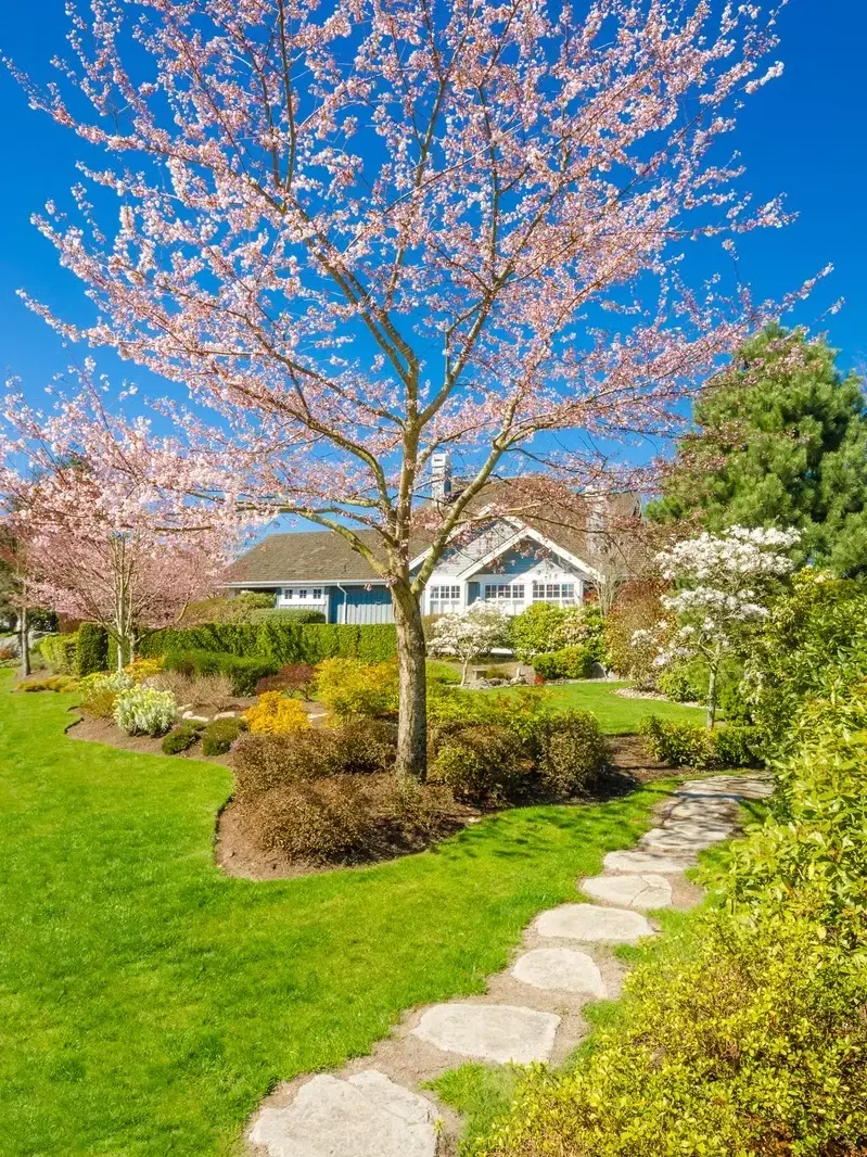 Landscaping Services service in Issaquah